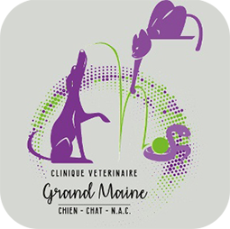 CLINIQUE VETERINAIRE GRAND MAINE