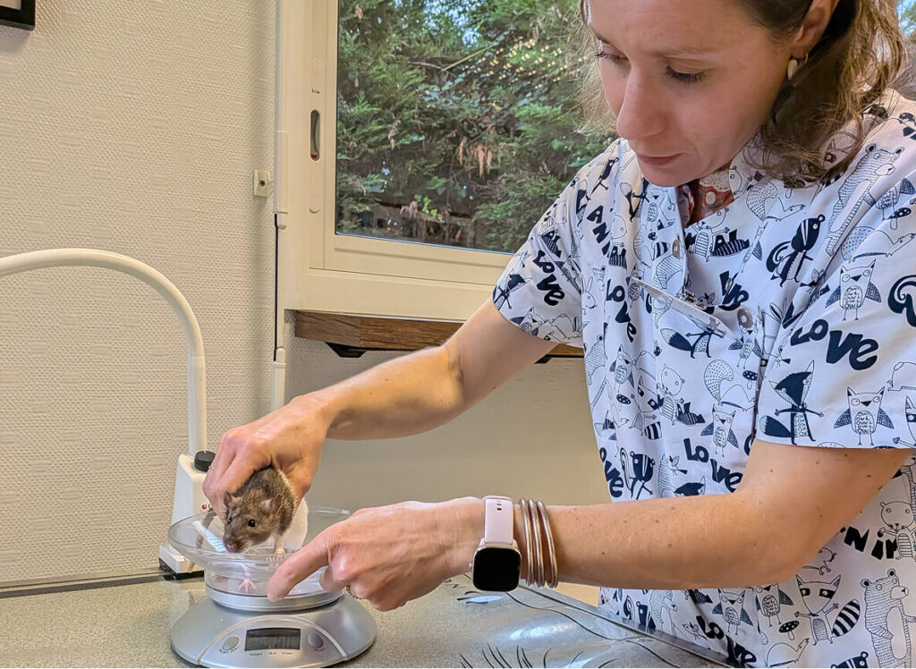 Des aliments adaptés à chaque étape de la vie