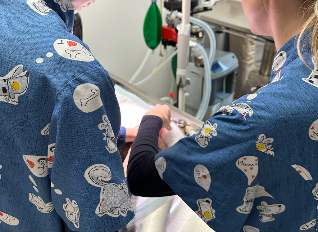 Un bloc chirurgical complet et sécurisé