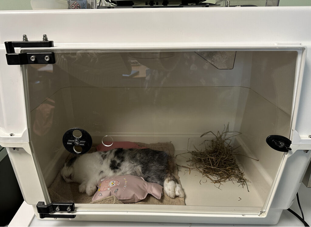 Un environnement sécurisé et adapté à chaque espèce