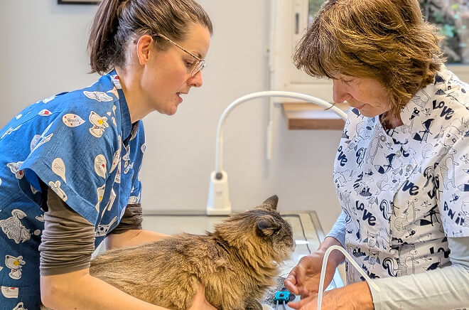 Consultations générales et préventives