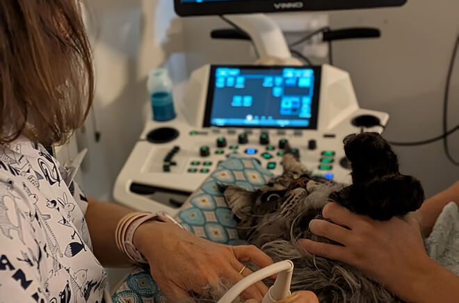 Radiologie et échographie