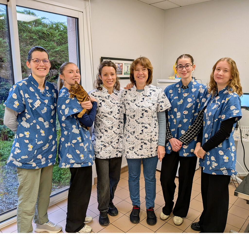 Equipe Grand Maine Angers Lac De Maine Veterinaire
